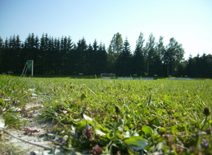 Mähroboter für den Fußballplatz – für unsere Teams & die Dorfkinder!