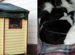 Neues Gartenhaus für unsere wilden Katzen