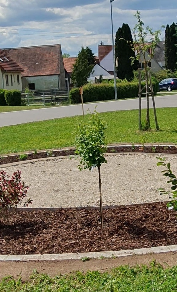 "Milchbänkle" - Gartenbauverein Alerheim-Wörnitzostheim e.V.