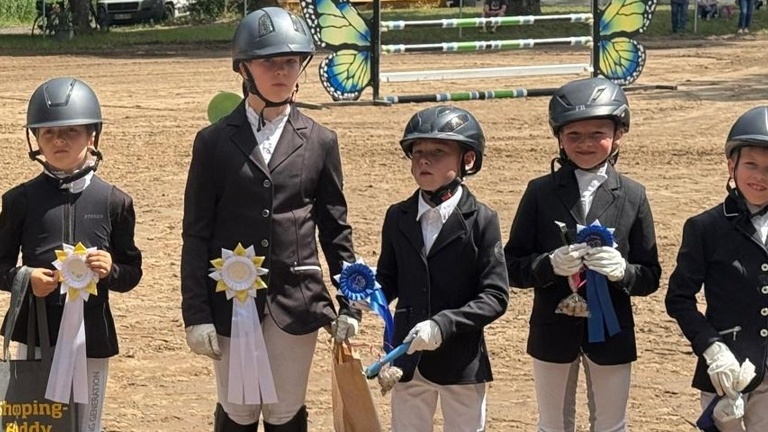 Reit- und Springturnier am Wentowsee