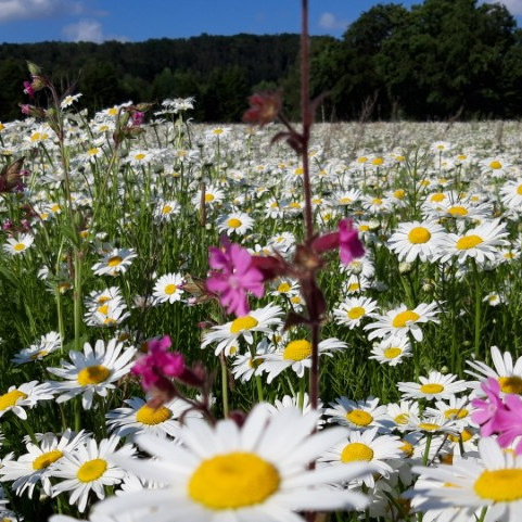 UNsere NAtur, Naturschutzprojekt im Kreis Unna