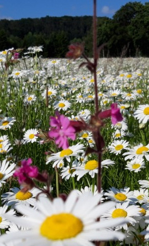 UNsere NAtur, Naturschutzprojekt im Kreis Unna